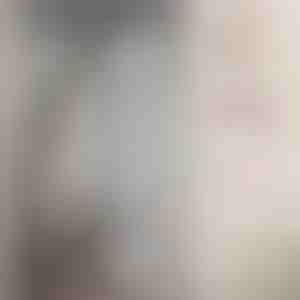 Rrjetë magnetike kundër mushkonjave | INSECTPROTECT